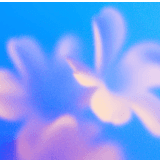 Interface preview in 2026 AI Page/AI Hero Bloom 2026.