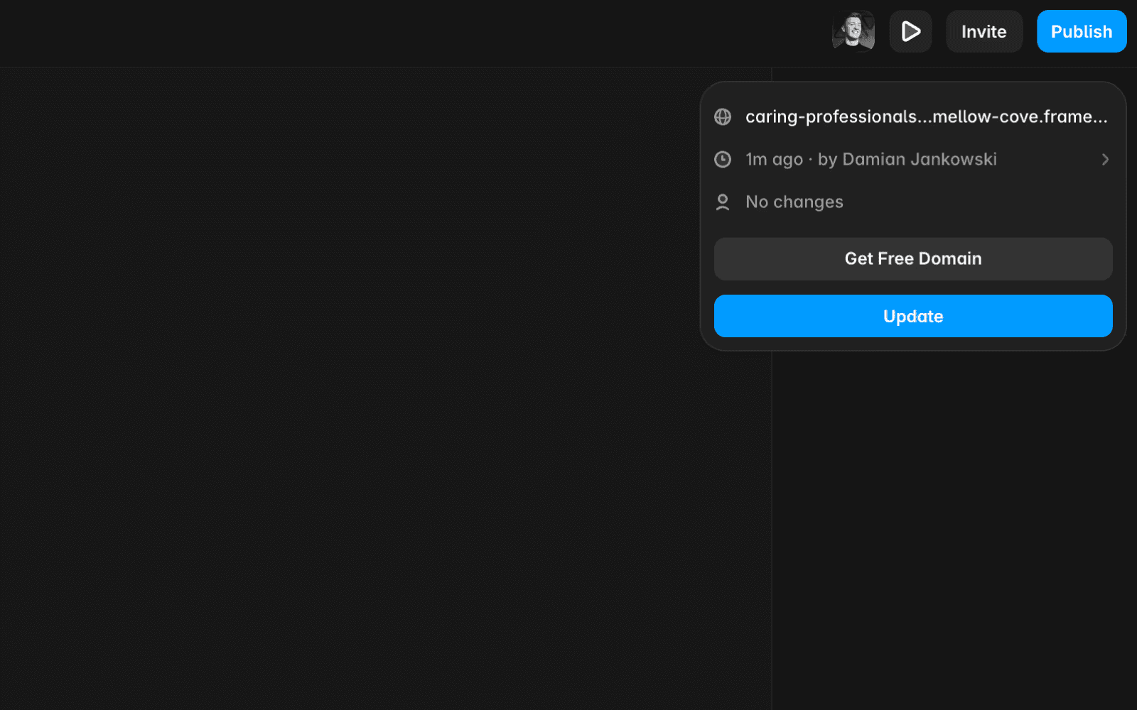 Screenshot of a web publishing interface showing a custom domain settings dropdown. Details include the current domain URL, a timestamp for the last update.