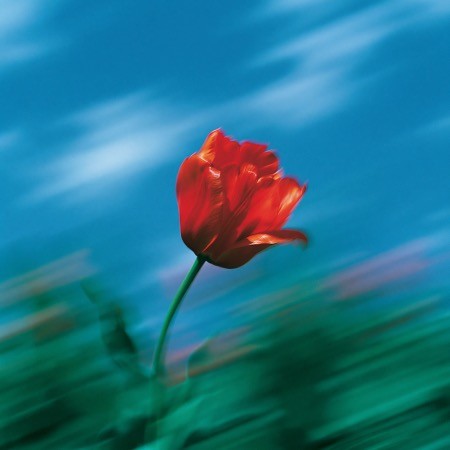 Code Component Image