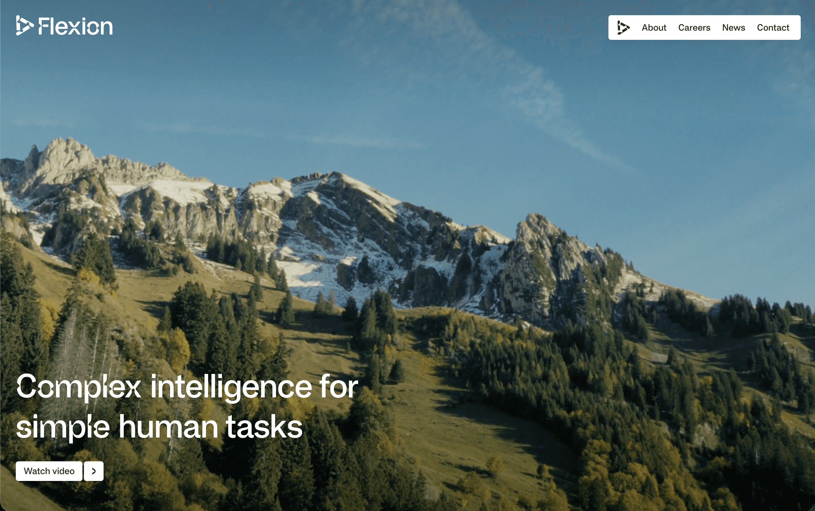 Flexion website screenshot